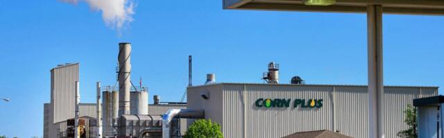 Why green air travel will save US corn farmers from extinction