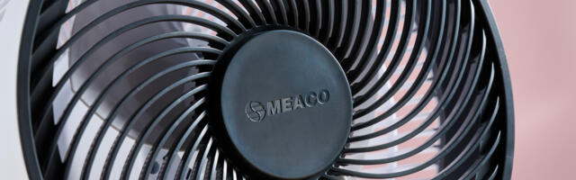 'You get the best of both worlds' – an expert reveals why an air circulator is better than a regular fan this summer