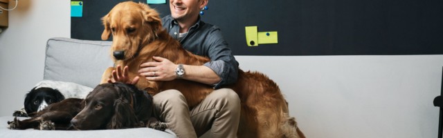 The Babylon Health of pets raises €30m to go west