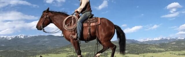 OpenAI just gave up on its Sora AI video generator