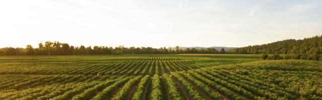 This startup plans to make international trade more accessible for small food and agriculture businesses