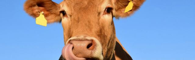 Methane is damaging the planet - this breakthrough technology could be the solution