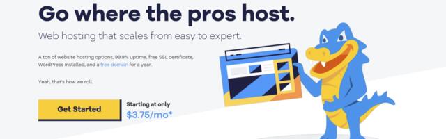 HostGator VPS and Shared Hosting Review