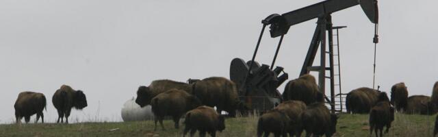 The horrifying, nearly forgotten history behind Killers of the Flower Moon