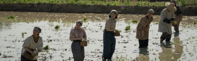 'Pachinko' Season 2's rice fields are all real — but they were tough to pull off