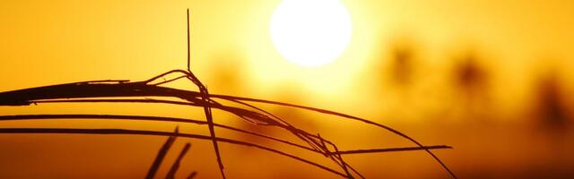 A Sweltering Heat Dome Is Pummeling the Middle of the US. Here's What That Means
