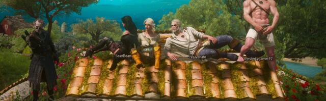 Ever wanted to play The Witcher 3 with friends? An online multiplayer mod has arrived
