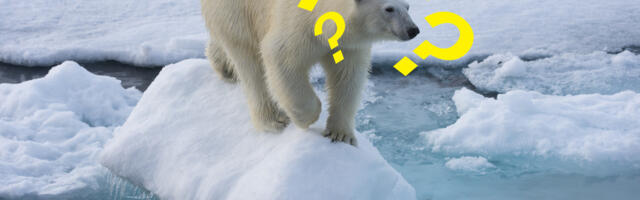 You asked: Does climate change trigger earthquakes? We answered. 