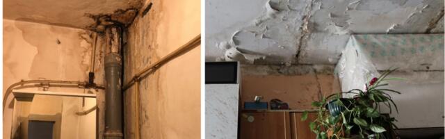 В десятиэтажном доме людей бьет током, на стенах плесень, а УК все равно