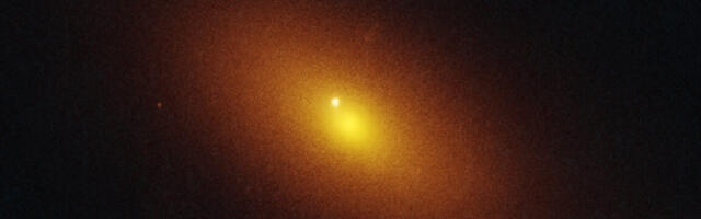 A star has been destroyed by a wandering supermassive black hole