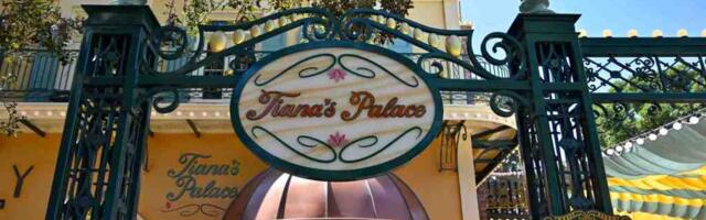 Niles: Who really makes the decisions at Disneyland?