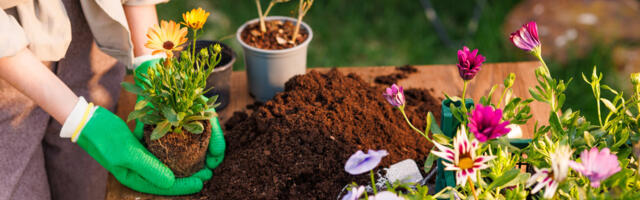 5 Harbor Freight Gardening Tools You Probably Didn't Realize Existed