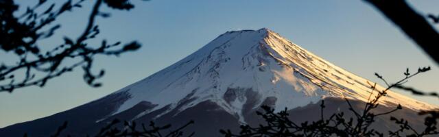 Japan’s 35 Million Tourist Bonanza in 2024: Great for Business, Not So Much for Overtourism