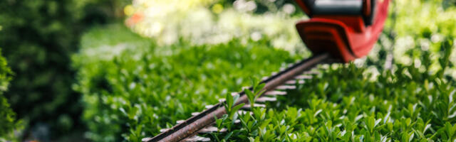 Can You Use Your Chainsaw As A Hedge Trimmer?
