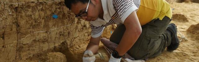 "Million-year-old" fossil skulls from China are far older—and not Denisovans