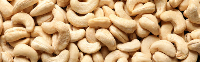 Cashew shell oil startup part of £13m Innovate UK investment