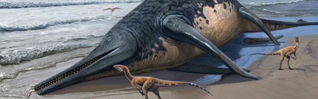 The largest marine reptile ever could match blue whales in size