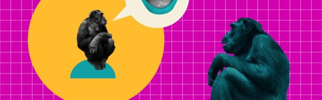 Is AI really plotting against us?