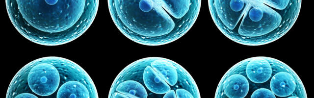 Извечный вопрос: происхождение жизни на Земле Извечный вопрос: происхождение жизни на Земле