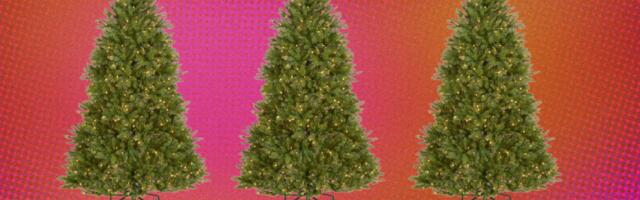 Need a Christmas tree? Amazon Prime members can save 66% on this Pre-Lit Dunhill Fir