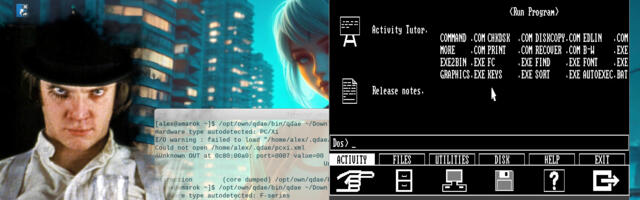 Заводной абрикос