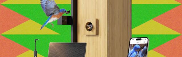 Amazon’s Spring Sale Is Blooming With Smart Bird Feeders