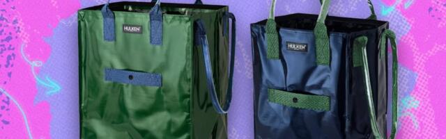 Hulkens rolling totes just landed at Target — shop the exclusive campus colorways