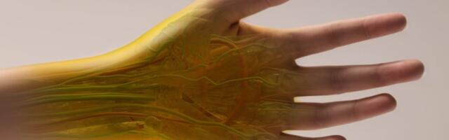 Researchers Turn Skin Invisible Using Food Dye