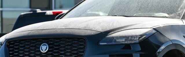 Jaguar Land Rover hits the brakes on shipments to the US after Trump's tariffs take effect