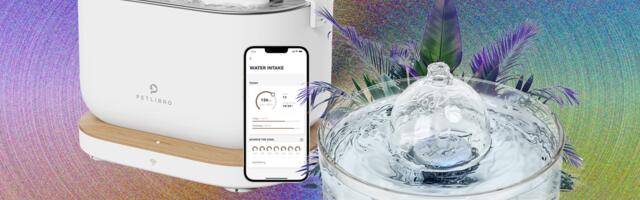 9 Best Cat Water Fountains, WIRED Tested and Reviewed (2025)