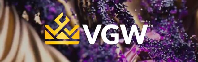 VGW partners with California tribe to expand social gaming reach