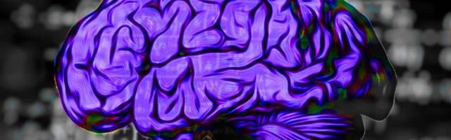 Your brain might be a quantum computer that hallucinates math
