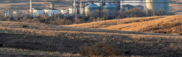 Biofuels policy has been a failure for the climate, new report claims