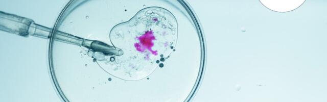 When Will Genetically Modifying Our Children Go Mainstream?