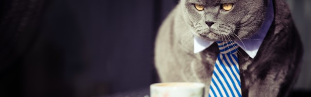 According to data, staff love working from home. Bosses… not so much