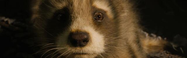 Guardians of the Galaxy Vol. 3 is somehow the best animal rights movie of the year