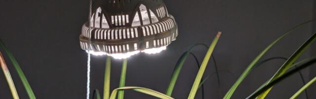 Here's All the Tech I Use to Help My Houseplants Thrive in Winter