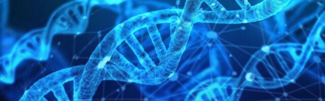 AI trained on ape DNA predicts genetic disease risks for humans