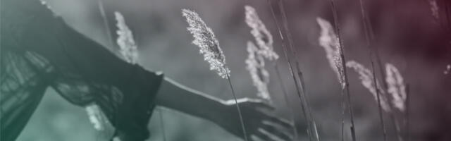 Female-led African startups invited to apply for HerMeNow accelerator