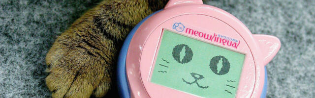 15 Of The Weirdest Tech Items That Never Really Became Popular