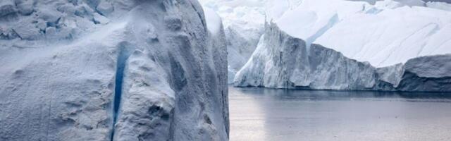 Trump’s New Plan for Acquiring Greenland Is UBI for Its Residents—on Americans’ Dime: Report