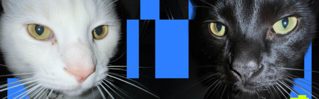 Время дорого стоит