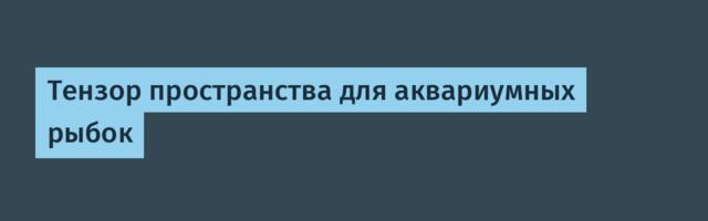 Тензор пространства для аквариумных рыбок