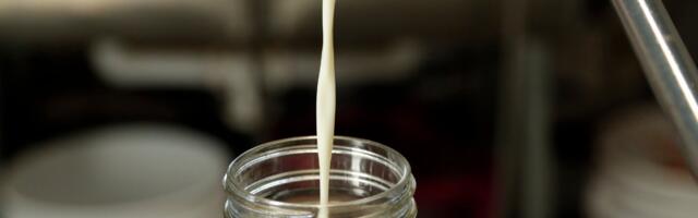 Infectious Bird Flu Can Linger in Refrigerated Raw Milk for 5 Days