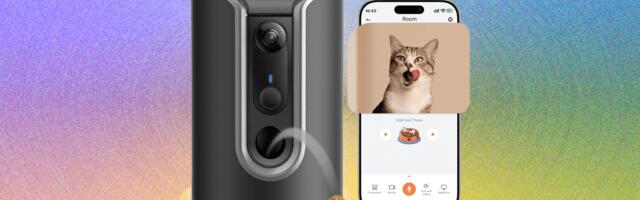 8 Best Pet Cameras (2025), Tested and Reviewed