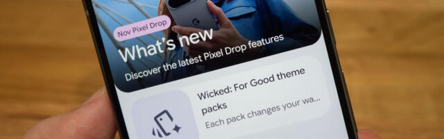 I downloaded the November Pixel Drop and all I got were Wicked theme packs