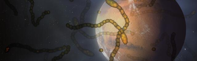 Space-traveling microbes? An unusual experiment shocked skeptics.