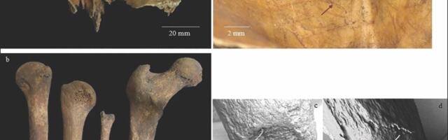 In Iron Age Scotland, People Removed the Brains of the Dead and Sharpened Their Bones