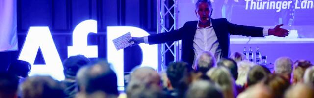 The dangerous resurgence of Germany’s far right, explained