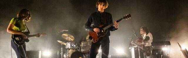 The Fanfare Around Geese Actually Was a Psyop